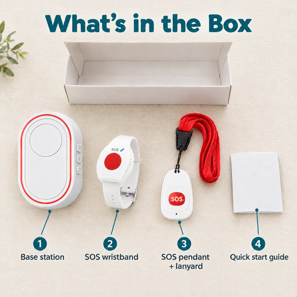 What's in the box
